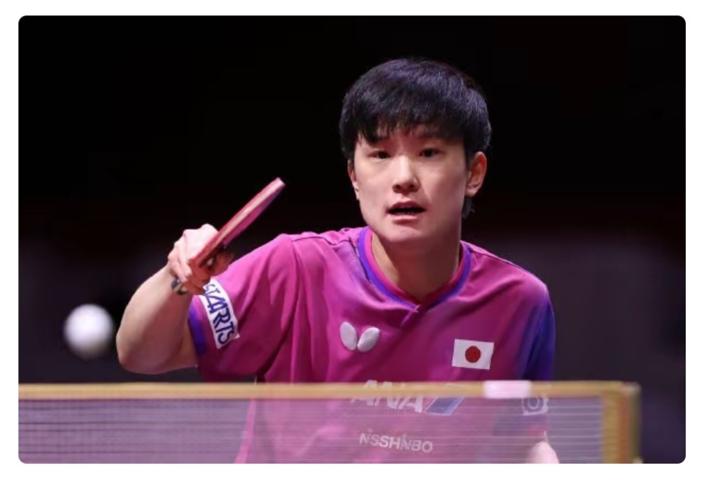 比利时乒乓球队轻取英国乒乓球队，张本智和爆发神勇的简单介绍