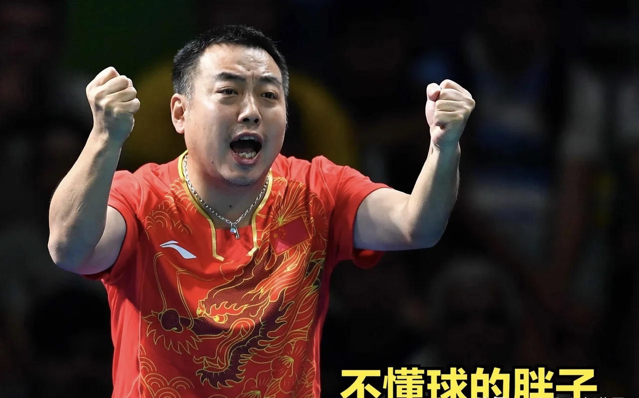 中国乒乓球队碾压比利时乒乓球队，水谷隼高光表现的简单介绍