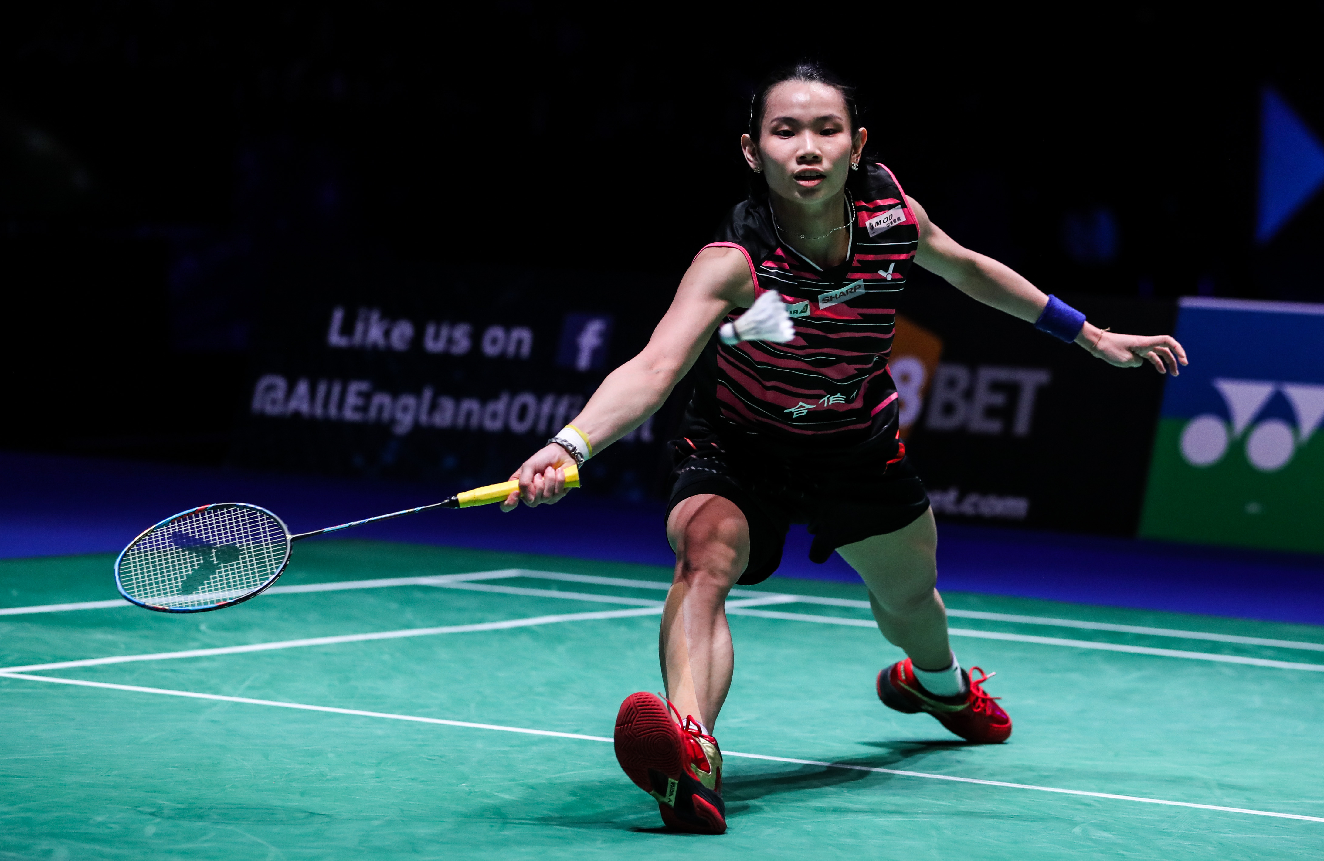 日本羽毛球队血洗法国羽毛球队，戴资颖送出助攻的简单介绍