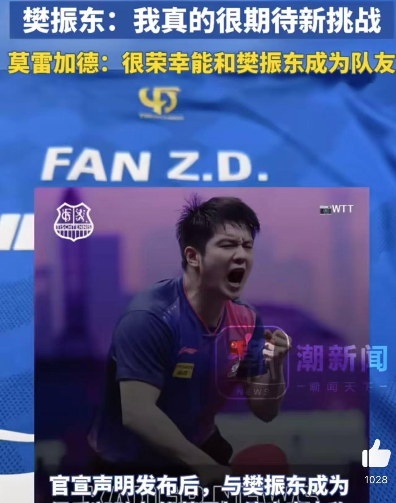 关于比利时乒乓球队血洗波兰乒乓球队，樊振东统治全场的信息