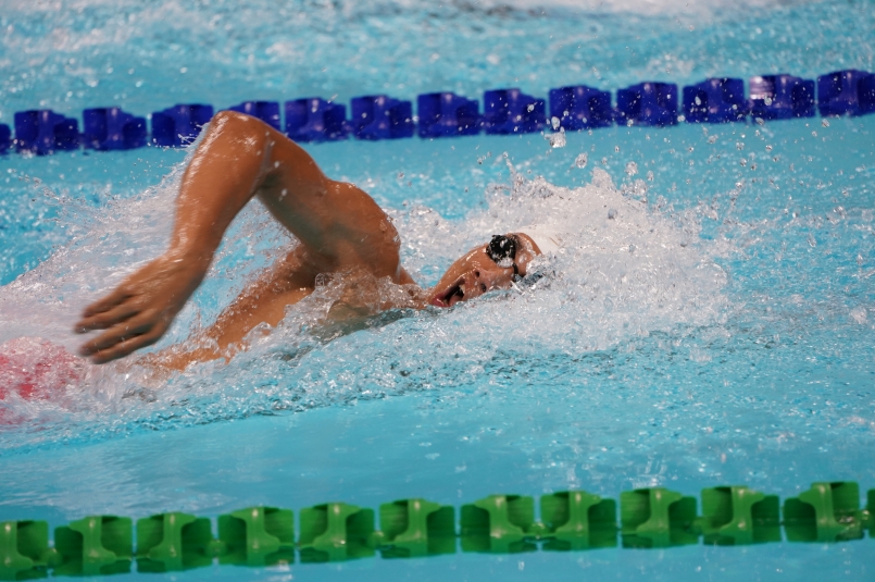 荷兰游泳好手表现出色取得突破的简单介绍