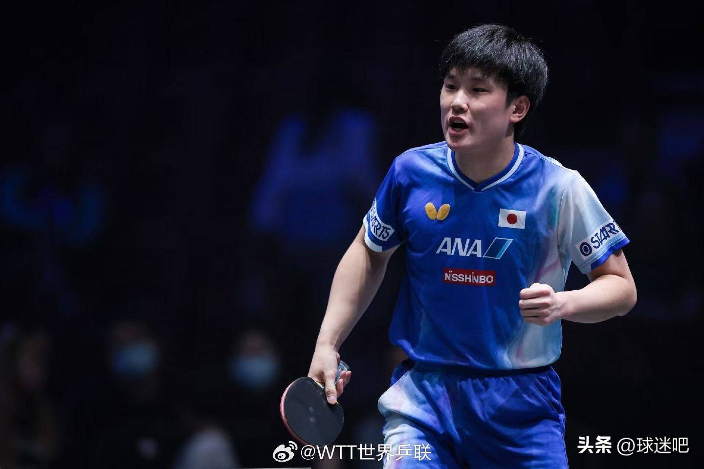 瑞典队力克法国队，张本智和扛起全队的简单介绍