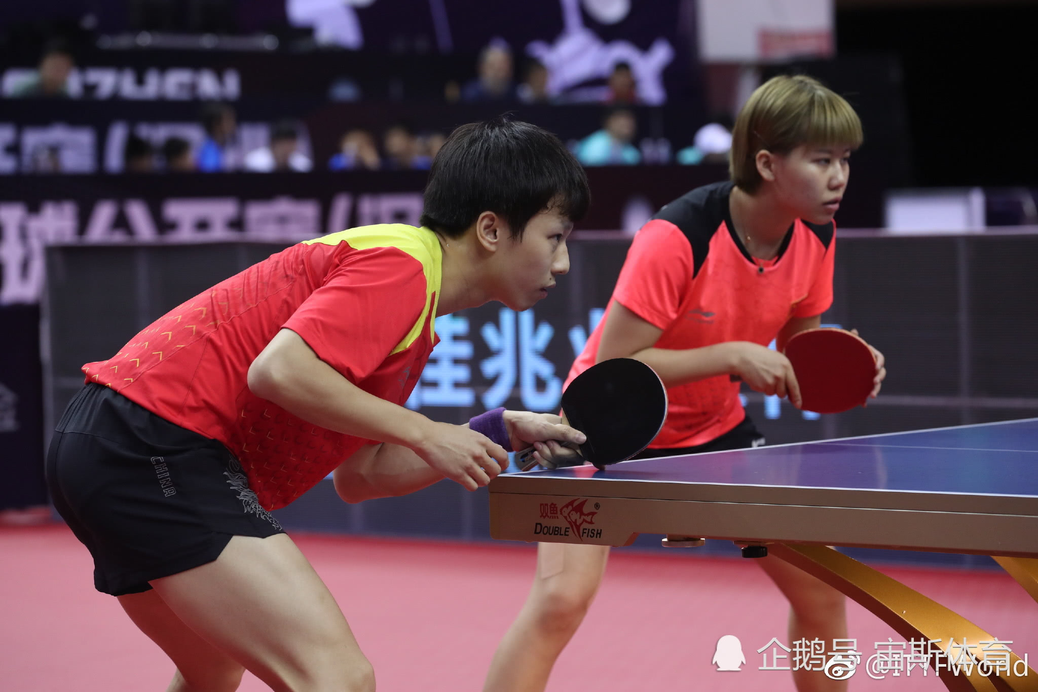 关于波兰队轻取韩国队，梁靖崑高光表现的信息