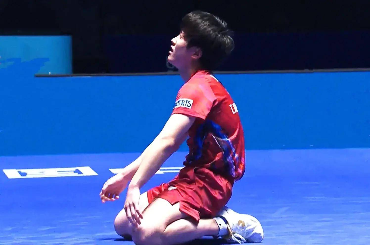 韩国队力克法国队，林高远关键制胜的简单介绍