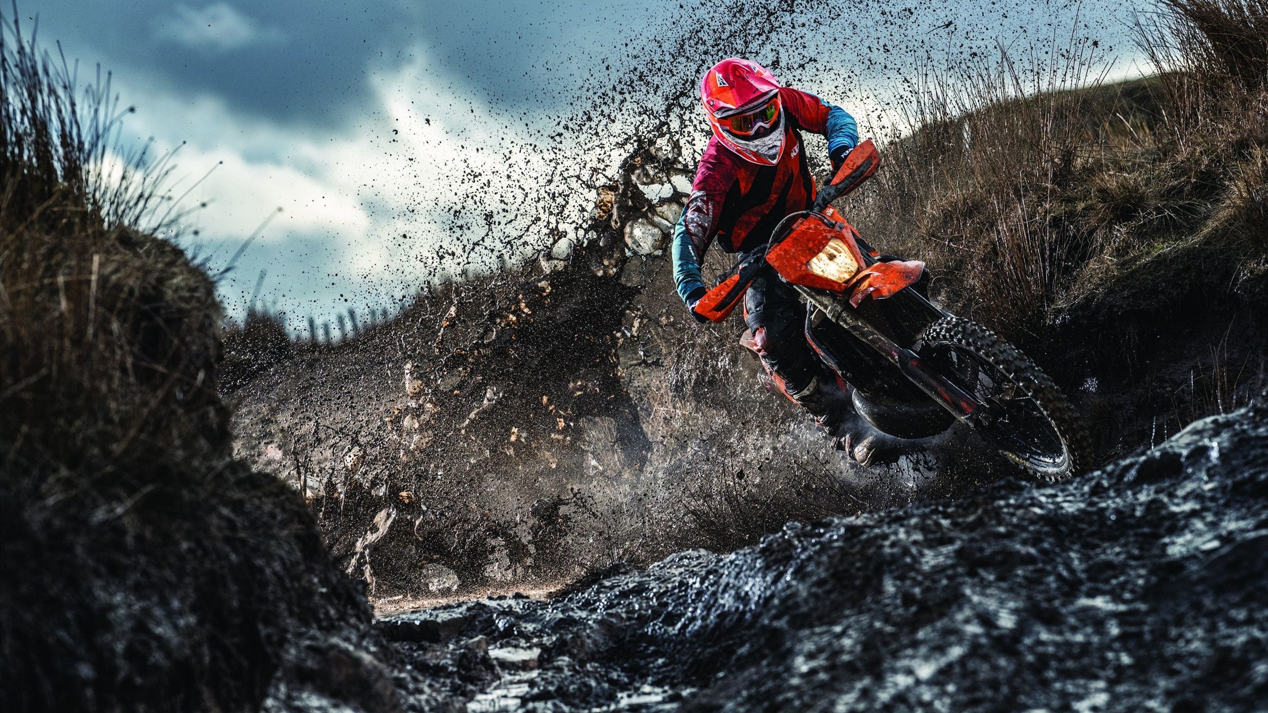 羽坛震撼夜,印度新星横扫丹麦神话,戴资颖统治力诠释何为女王驾到